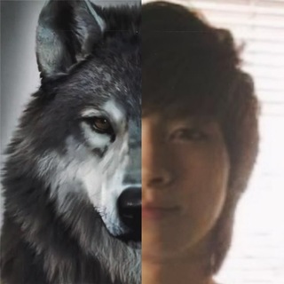 Telegram profile photo for nola