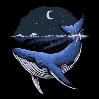 Telegram profile photo for 52hz 🐋
