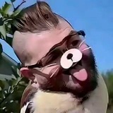 Telegram profile photo for 金鸣反馈频道
