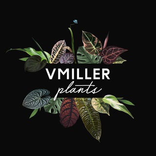 Telegram profile photo for VMILLER plants🌱
