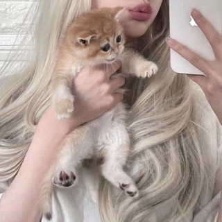 Telegram group profile photo for swëet ïnnër lòungë