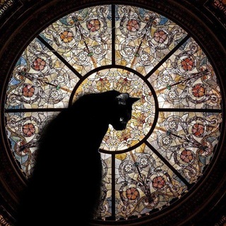 Telegram profile photo for Котик
