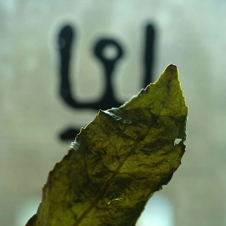Telegram profile photo for • ЧАЙНАЯ ШАМАНИКА •