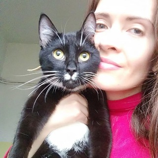 Telegram profile photo for Приют Котята и Кошки в добрые руки. Петербург!