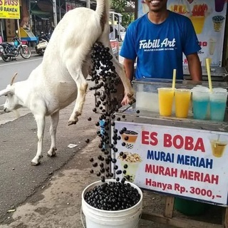 Telegram profile photo for Meme Indonesia