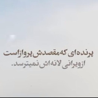 Telegram profile photo for افتخارات و پویایی جــوانان هدفمند