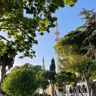 Telegram profile photo for TürkiyeLook 🇹🇷