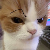 Telegram profile photo for Ля Найт Мэер