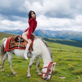 Telegram profile photo for 新手村导航🈲未成年左转离开