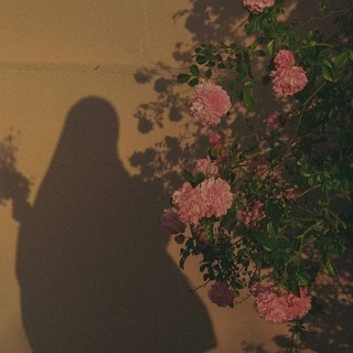 Telegram profile photo for وحـيـدة گ الـقمـر 💛🌻