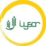 Telegram profile photo for Iysaruz