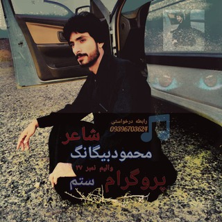 Telegram profile photo for کانال رسمی محمود بیگانگ