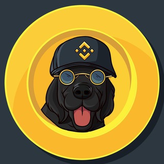 Telegram profile photo for Binancedog Portal Cto