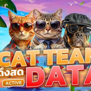 Telegram profile photo for DATA สายเทา 2025 🖥📲 ดาต้าสายเทา ฐานข้อมูล SEO การตลาดสายเทา 🙏🏼