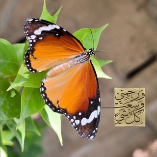 Telegram profile photo for {وَبَشَّرْنَاهُ}