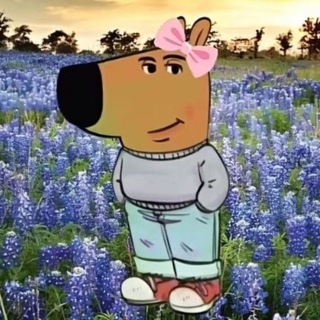 Telegram group profile photo for LOOKING FOR ONLY