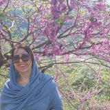 Telegram profile photo for پایه پنجم و ششم/ بشارتلو🌱