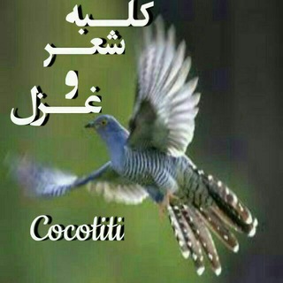Telegram profile photo for کلبه شعروغزل Cocotiti@