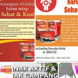 Telegram profile photo for Multiherbal Produk