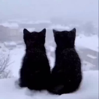 Telegram profile photo for Переходник