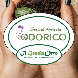 Telegram profile photo for Odorico - Il GenuinOrto