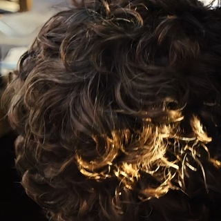 Telegram profile photo for 𝐖𝗂𝗋𝖾𝗌 𝐬𝗍𝗂𝗅𝗅 𝐢𝗇𝗍𝖺𝖼𝗍٭˙