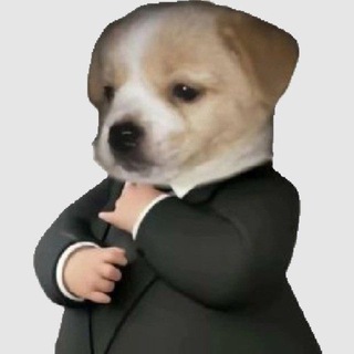 Telegram profile photo for авеню
