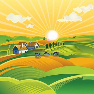 Telegram profile photo for Finding others who want to live off the grid .