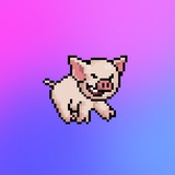 Telegram profile photo for @rarepig