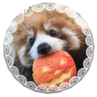 Telegram profile photo for ллойд сырная чмоня