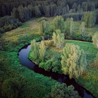 Telegram profile photo for Смотри, что я видел!