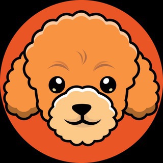 Telegram profile photo for PUDEL