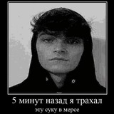 Telegram profile photo for вдчщчдвд