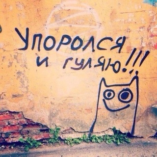 Telegram profile photo for кабачки оптом