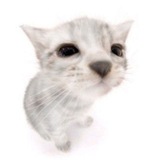 Telegram profile photo for ПРОТИВ +375298873347
