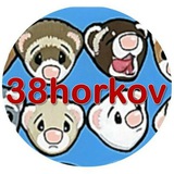 Telegram profile photo for Приют-хоспис 38 хорьков