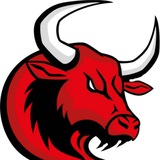 Telegram profile photo for Bulls signals