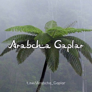Telegram profile photo for Arabcha Gaplar🇸🇦