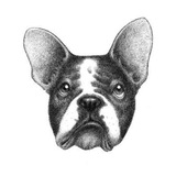Telegram profile photo for Бистро «Гаврош»