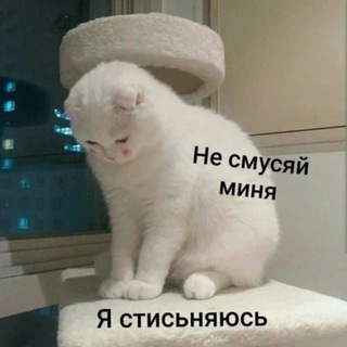 Telegram profile photo for Коллекция стикеров