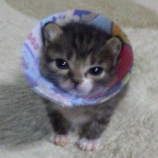 Telegram profile photo for былка