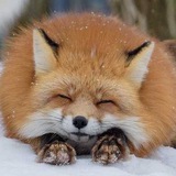 Telegram profile photo for Kitsune Wind Farm