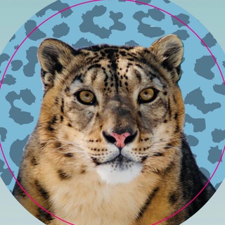 Telegram profile photo for 🐾 Ассоциация «Ирбис»