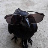 Telegram profile photo for بیصدا ترین دونه برف.