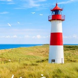 Telegram profile photo for 海外技术招聘/远程/驻场/🌱