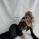 Telegram profile photo for закрыты féline
