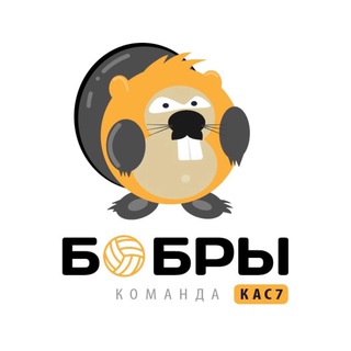 Telegram profile photo for МКАГ | ССК «БОБРЫ»
