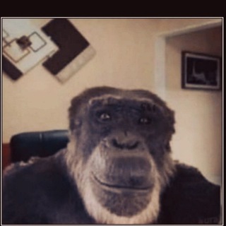 Telegram profile photo for Три мавпи 🇺🇦 🙈🙉🙊