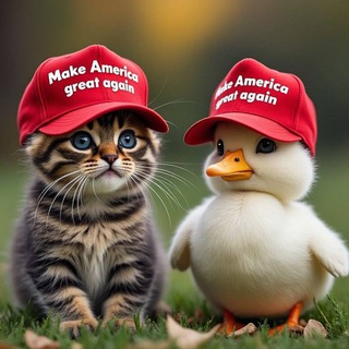 Telegram profile photo for MAGA Duck Portal