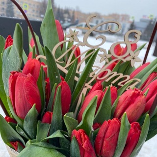 Telegram profile photo for 🌷Тюльпаны к 8 марта🌷